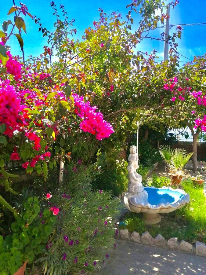 Villa Tripepi Bova Marina Luaran gambar